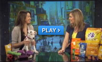 https://www.wellnesspetfood.co.th/wp-content/uploads/2014/07/img-press-tv-andrea.jpg