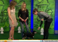 https://www.wellnesspetfood.co.th/wp-content/uploads/2014/07/today-show-feb-2011-1.jpg