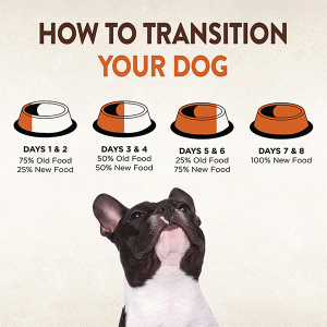 how to tansition a dog to a high protein food