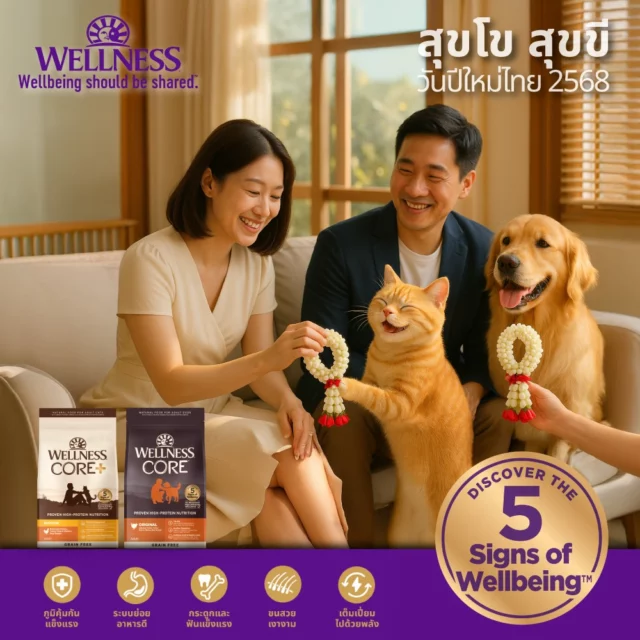 🌸 สุขสันต์วันสงกรานต์จากครอบครัว Wellness สู่ครอบครัวคุณ 🌸  เทศกาลสงกรานต์ไม่ใช่แค่เพียงช่วงเวลาแห่งความสนุกสนาน  แต่คือโอกาสแสดงความรักต่อทุกคนในครอบครัว ❤️  ถ้าน้องหมาน้องแมวพูดได้ พวกเขาคงอยากมอบพวงมาลัยหอมๆ และรดน้ำขอพรคุณเหมือนลูกหลานตัวน้อย  ดูแลพวกเขาให้เหมือนสมาชิกคนสำคัญในครอบครัว ด้วย Wellness อาหารคุณภาพเพื่อชีวิตที่แข็งแรงและมีความสุขร่วมกันไปอีกยาวนาน ✨  เพราะความผูกพันกับสัตว์เลี้ยง คือสายใยครอบครัวที่อบอุ่นที่สุด 
คุณมีแผนฉลองสงกรานต์กับเพื่อนสี่ขาอย่างไรบ้าง? แชร์กันได้ในคอมเมนต์นะ 👇"
#WellnessThailand #WellbeingShouldBeShared #สงกรานต์2025 #PetParent #WellnessCORE  #สงกรานต์68