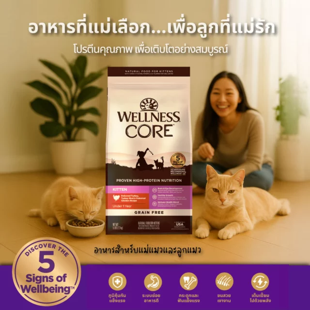 อาหารที่แม่เลือก...เพื่อลูกที่แม่รัก 🐱✨
ทุกมื้ออาหารคือการลงทุนเพื่ออนาคตของเจ้าเหมียวน้อย 💫
Wellness CORE Kitten มอบโภชนาการสมบูรณ์ด้วยโปรตีนคุณภาพสูงถึง 45% จากเนื้อสัตว์แท้ พร้อม DHA & EPA สำหรับพัฒนาการสมองและการมองเห็น 🧠👁️
เห็นผลจริงใน 2 เดือน - ขนเงางาม ตัวแน่น สุขภาพแข็งแรง เพราะสูตร Grain-Free ปราศจากธัญพืชที่อาจก่อให้เกิดอาการแพ้
โปรพิเศษ! สั่งซื้อวันนี้ส่งฟรีทั่วประเทศ 🚚
ทักเรามาที่ DM หรือ Line: @wellnesspet.th เพื่อรับโปรส่งฟรี!
เพราะลูกน้อยของคุณคู่ควรกับสิ่งที่ดีที่สุด ❤️  #WellnessCORE #KittenNutrition #โปรตีนคุณภาพ #เติบโตอย่างสมบูรณ์ #PetLove #CatMomApproved #Wellness #CatFood #KittenFood #GrainFree #HighProteinPetFood #WELLNESS #WELLNESSPetFoodThailand #อาหารแมว #WellbeingShouldBeShared #แชร์ชีวิตที่ดีร่วมกัน #อาหารสัตว์เลี้ยงที่สัตวแพทย์แนะนำ #อาหารลูกแมว #อาหารแม่แมว