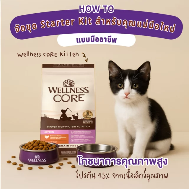 🐱✨ จัดชุด Starter Kit สำหรับลูกแมวใหม่ พร้อม Wellness CORE Kitten แบบมืออาชีพ
ต้อนรับสมาชิกตัวน้อยเข้าบ้านอย่างอบอุ่นด้วยชุดอุปกรณ์ครบครันที่จำเป็นสำหรับลูกแมว! เหล่าทาสแมวมือใหม่ต้องไม่พลาด 👇
อุปกรณ์จำเป็นสำหรับลูกแมวแรกรับ แบ่งเป็น 3 หมวดหลัก:
📍 โภชนาการคุณภาพสูง: อาหาร Wellness CORE Kitten โปรตีน 45% จากเนื้อสัตว์คุณภาพดี พร้อม DHA/EPA เพื่อพัฒนาการสมองที่สมบูรณ์
📍 พื้นที่พักผ่อนและสุขอนามัย: ที่นอน กระบะทราย ที่ข่วนเล็บ และอุปกรณ์ทำความสะอาด
📍 ความปลอดภัยและการเล่น: กล่องขนส่ง ของเล่นกระตุ้นพัฒนาการ และปลอกคอพร้อมแท็ก  🔥 โปรโมชั่นพิเศษ! 🔥
สั่งซื้อ Wellness CORE Kitten พร้อมสมัคร Membership ใน Shopee: Wellness Pet Food Thailand วันนี้ รับส่วนลด 15% ทันที พร้อมสะสมแต้ม แลกส่วนลดและสิทธิพิเศษมากมาย
*เฉพาะ 100 ท่านแรก! หมดเขต 30 เม.ย. 68
หรือ
📲 สั่งซื้อง่ายๆ ผ่าน Line: @wellnesspet.th
🌐 ดูรายละเอียดเพิ่มเติม: wellnesspetfood.co.th
แชร์ทริคการเลี้ยงแมวในคอมเมนต์และลุ้นรับ Wellness CORE Kitten ขนาดทดลอง 3 รางวัล! 🎁
#WellnessTH #KittenStarterKit #WellnessCOREKitten #5SignsOfWellbeing #CatMom #PetLover