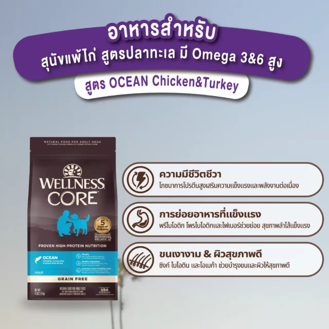 Wellness CORE Ocean สูตรปลาทะเล
🌊 เมื่อน้องหมาต้องการโปรตีนจากทะเลลึก... 
Wellness CORE Ocean คือคำตอบ! 🐟
💙 สูตรปลาทะเลพิเศษ สำหรับสุนัขโตที่ต้องการการดูแลเฉพาะ
มาทำความรู้จักกับ CORE® Ocean สูตรที่รวมพลังของทะเลลึกเข้าด้วยกัน:
🐟 ปลาขาว (Whitefish)
🐟 ปลาซีรอิง (Herring)
🐟 ปลาแซลมอน (Salmon)
🐟 ปลาป่น Menhaden
⭐ ทำไมต้องเลือกสูตรปลาทะเล?
🔹 โปรตีนคุณภาพสูง 47% → กล้ามเนื้อแข็งแรง หุ่นเพรียว
🔹 Grain-Free → ลดการแพ้ เหมาะกับสุนัขแพ้ง่าย
🔹 โอเมก้า 3 & 6 สูง → ขนเงางาม ผิวหนังสุขภาพดี
🔹 ไม่มี By-Products → ปลอดภัย 100%
🎯 เหมาะสำหรับน้องที่:
✅ แพ้ไก่ แพ้เนื้อแดง
✅ มีปัญหาผิวหนัง ขนหมองคล้ำ
✅ ต้องการโปรตีนคุณภาพสูงจากทะเล
✅ ระบบย่อยแพ้ง่าย
🌟 ส่วนผสมพิเศษ:
🔸 โปรไบโอติก → ระบบย่อยแข็งแรง
🔸 กลูโคซามีน → ข้อต่อแข็งแรง
🔸 ทอรีน → หัวใจแข็งแรง
🔸 สารต้านอนุมูลอิสระ → ชะลอวัย
💯 รับประกันคุณภาพ:
❌ ไม่มี ข้าวโพด ข้าวสาลี ถั่วเหลือง
❌ ไม่มี สารกันบูด สีสังเคราะห์ กลิ่นสังเคราะห์
✅ ผลิตในสหรัฐอเมริกา มาตรฐานสูง
🐾 เพราะน้องหมาที่แพ้ง่าย... ก็สมควรได้รับสิ่งที่ดีที่สุด
พลังจากทะเลลึกเพื่อสุขภาพที่สมบูรณ์แข็งแรง 💪
 ไม่ต้องทนดูน้องทุกข์ทรมานกับอาการแพ้อีกต่อไป
 📍 หาซื้อได้ที่:
🏪 เพ็ทช็อปทั่วประเทศ
🛍️ Shopee: Wellness Pet Food Thailand
📞 สอบถามเพิ่มเติม:
💬 ปรึกษาผู้เชี่ยวชาญ เพื่อหาทางออกที่ดีที่สุดสำหรับน้องกัน!  #WellnessCORE #Ocean #Dog #อาหารหมา #อาหารสุนัขคุณภาพ #เเพ้อาหาร #สูตรปลา #เเพ้ไก่  #GrainFree #โปรตีนสูง #WellbeingShouldBeShared #แชร์ชีวิตที่ดีร่วมกัน #แชร์WELLNESS #อาหารสัตว์เลี้ยงที่แนะนำโดยสัตวแพทย์