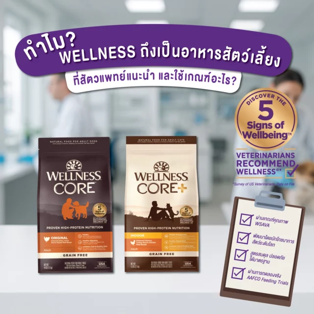 🩺 ทำไมสัตวแพทย์แนะนำ Wellness CORE?
ไม่ใช่แค่ "อร่อย" หรือ "พรีเมียม" แต่ Wellness CORE ได้ถูกแนะนำโดยสัตวแพทย์ผ่านการ Survey แบบ Nation Wide กับสัตวแพทย์กว่า 500 คน โดย ผ่าน Check list ของ WSAVA - สมาคมสัตวแพทย์สัตว์เล็กโลก พวกเขาได้สร้าง "เช็คลิสต์" สำหรับอาหารสัตว์เลี้ยงที่ดี  ✅ 9 เช็คลิสต์ที่สัตวแพทย์ดู:
🧬 มี PhD Nutritionist ประจำ
📊 สูตร AAFCO Complete & Balanced
🧪 ทดสอบกับสัตว์จริง 6 เดือน
🇺🇸 Made in USA คุณภาพสูง
🛡️ ระบบตรวจสอบ HACCP, BRC, FDA
⚖️ สูตรเฉพาะทุกช่วงวัย
📋 ข้อมูลโปร่งใส 15+ รายการ
🔬 วิจัยพัฒนาต่อเนื่อง
💫 ผลลัพธ์ที่เห็นได้:
✨ ขนเงางาม ไม่ร่วง
💪 กล้ามเนื้อแข็งแรง
💩 อึสวย ไม่เหม็น
🛡️ ไม่ป่วยง่าย
⚡ กระปี้กระเป่าทั้งวัน
💰 ประหยัดค่าหมอระยะยาว  "ลูกๆที่คุณรัก สมควรได้อาหารที่สัตวแพทย์ไว้ใจ" 💕
🛒 หาซื้อ: เพ็ทช็อปทั่วประเทศ | Shopee: Wellness Pet Food Thailand
#WellnessCORE #สัตวแพทย์แนะนำ #อาหารสุนัข #อาหารแมว #WSAVA #โภชนาการระดับโลก