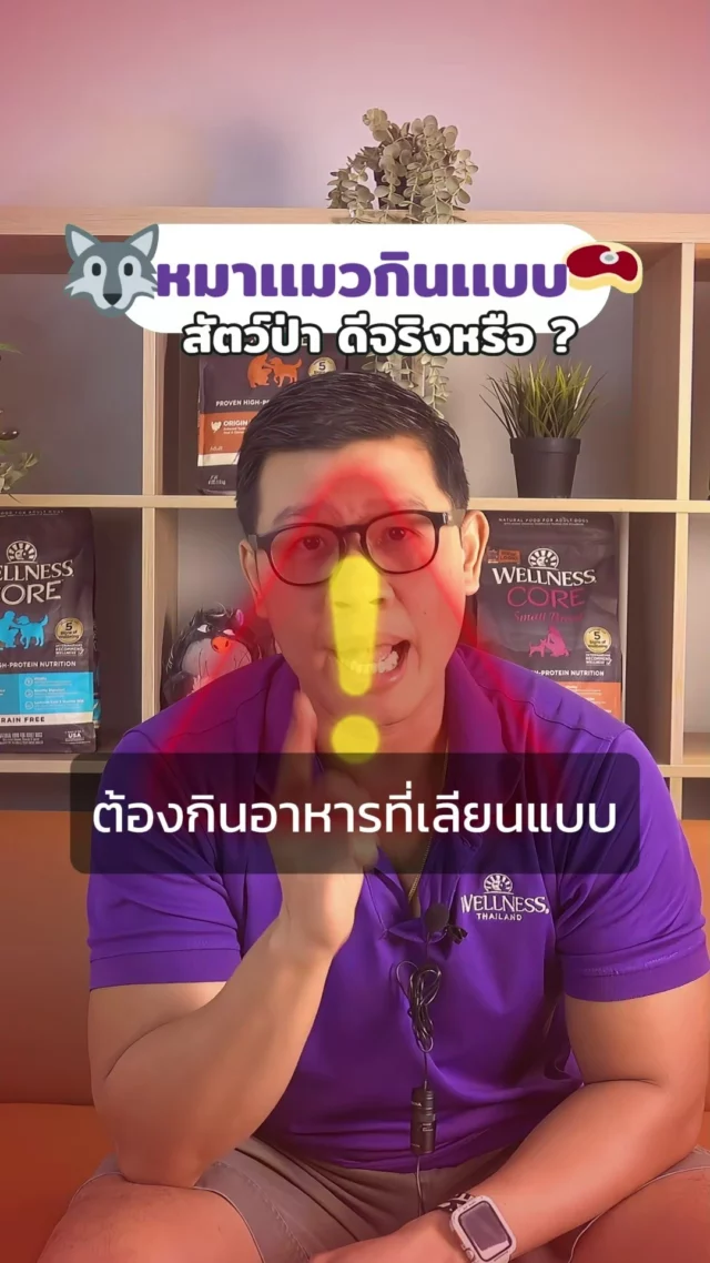 "จริงหรือเท็จ? น้องหมาแมวควรกินแบบสัตว์ป่า"🐺🥩
#WellnessCORE #อาหารสุนัข #อาหารแมว #WELLNESSCORE #WellbeingShouldBeShared #แชร์ชีวิตที่ดีร่วมกัน #แชร์WELLNESS #อาหารสัตว์เลี้ยงที่แนะนำโดยสัตวแพทย์